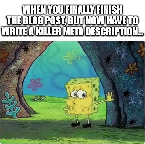 meta tag issues